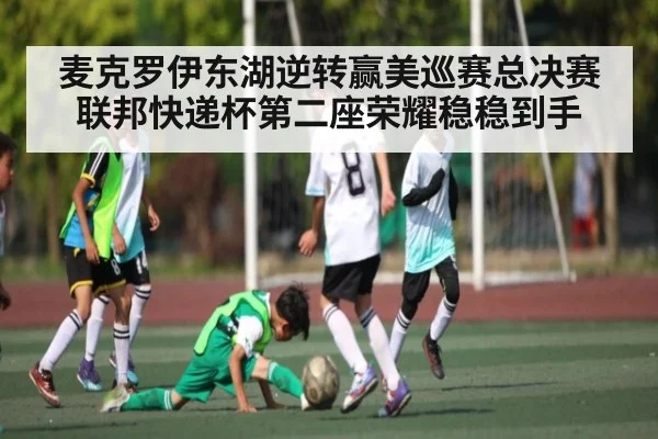 麦克罗伊东湖逆转赢美巡赛总决赛 联邦快递杯第二座荣耀稳稳到手